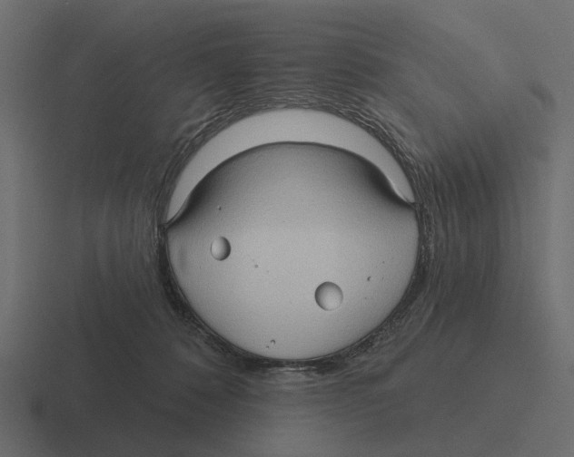 X0000116320320200912291538