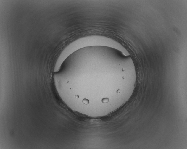 X0000116320324200912291538