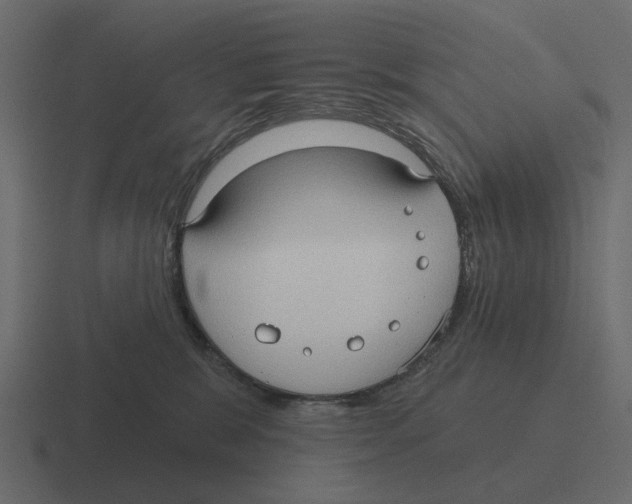 X0000116320327200912291538