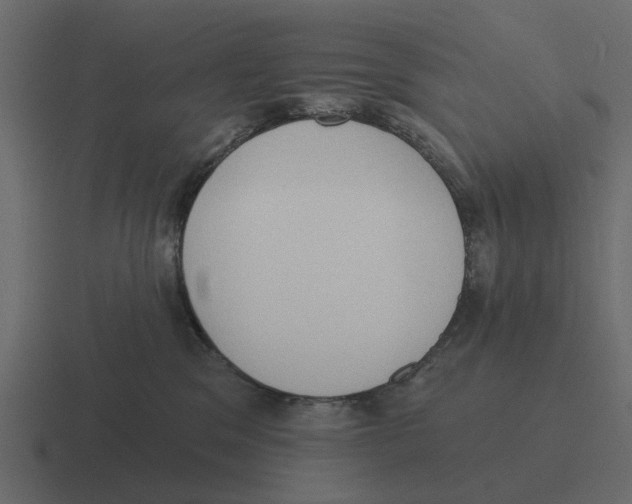 X0000116320329200912291538