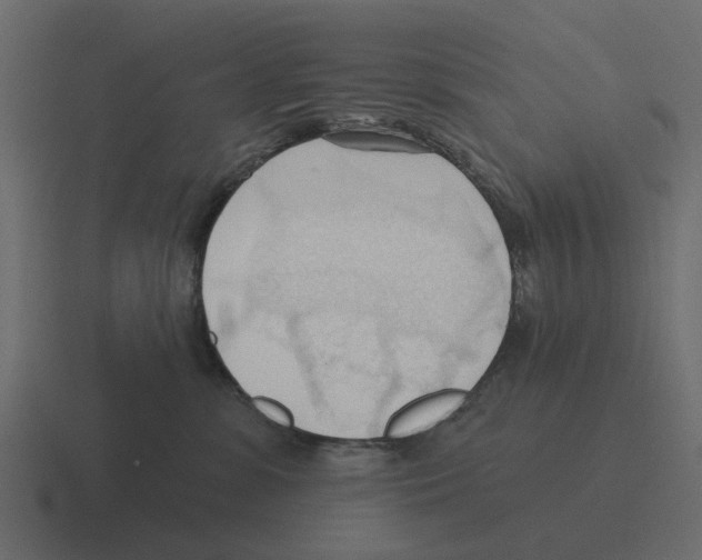 X0000116320331200912291538