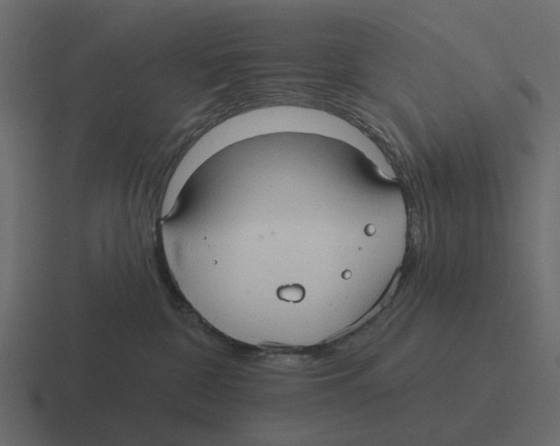 X0000116320332200912291538