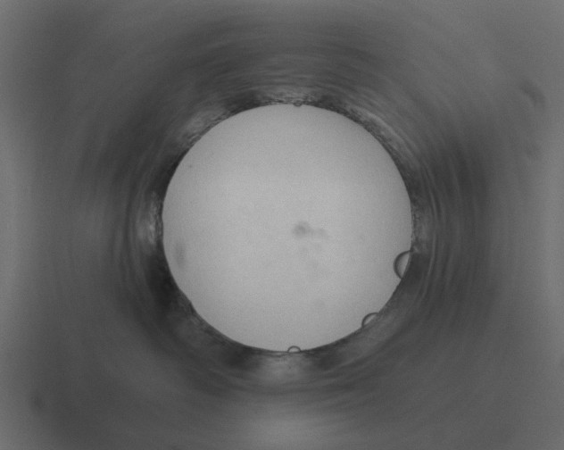 X0000116320334200912291538