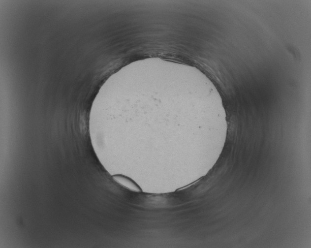 X0000116320335200912291538