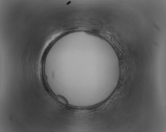 X0000116320342200912291537