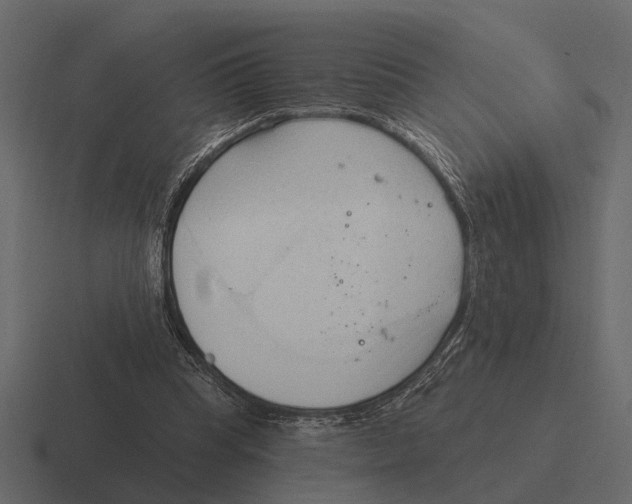 X0000116320345200912291537