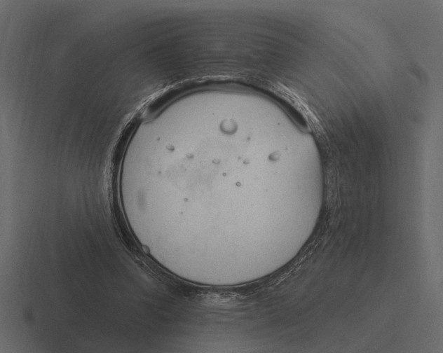 X0000116320346200912291537