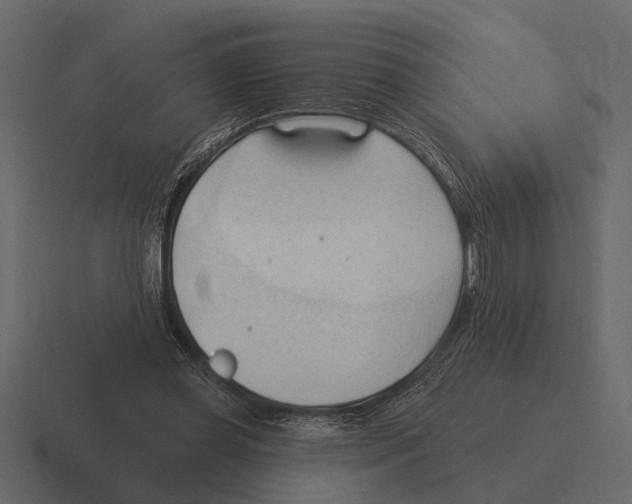 X0000116320349200912291538