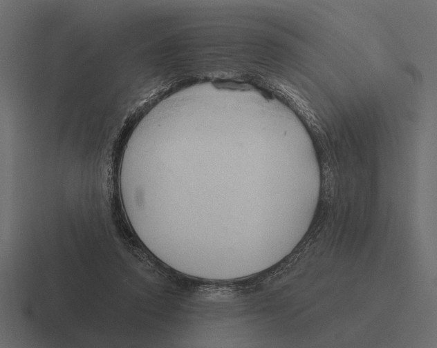 X0000116320354200912291538