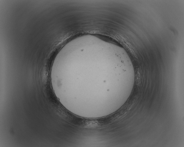 X0000116320355200912291538