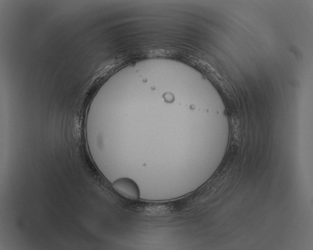 X0000116320357200912291538