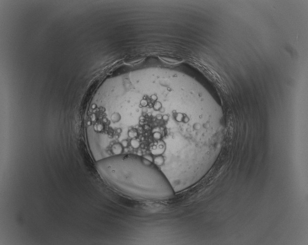 X0000116320359200912291538