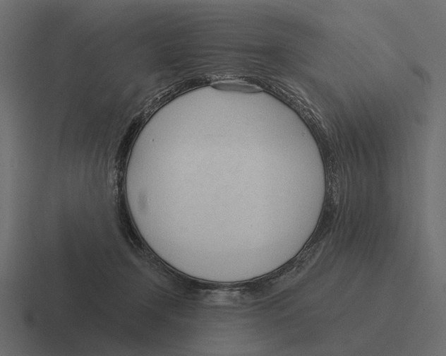 X0000116320366200912291538