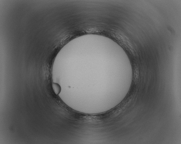 X0000116320367200912291538