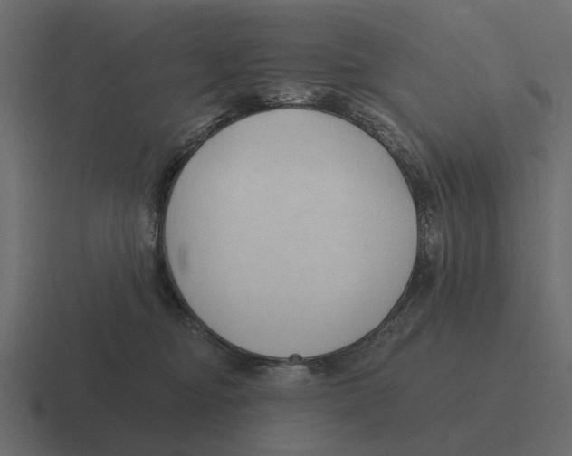 X0000116320374200912291538