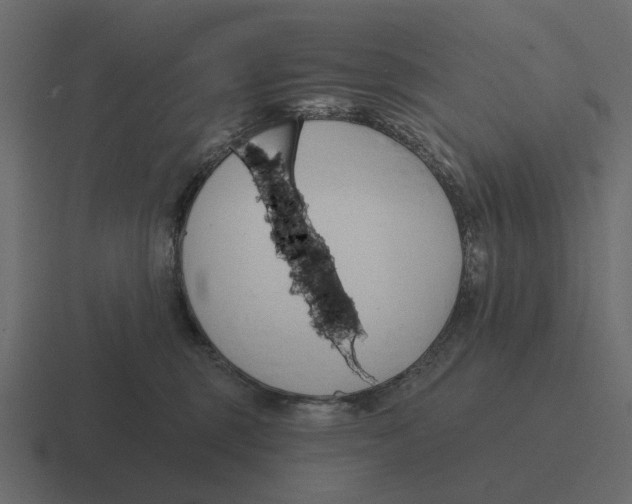 X0000116320375200912291538