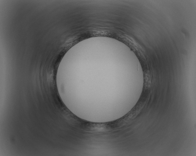 X0000116320377200912291538