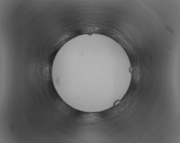 X0000116320378200912291538