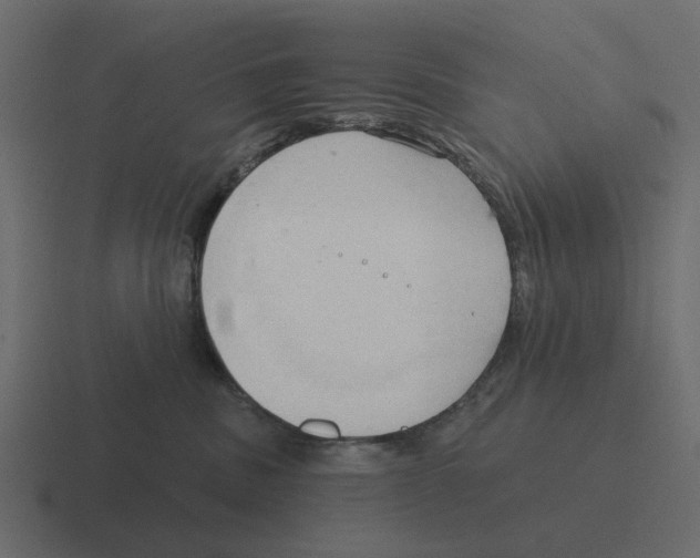 X0000116320379200912291538