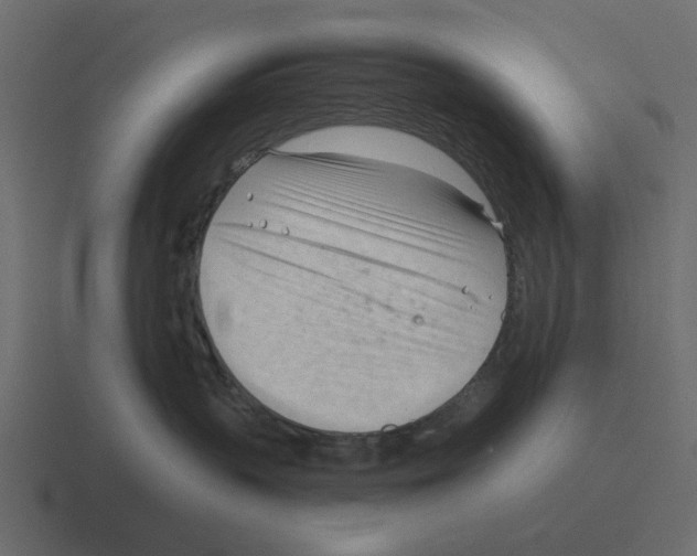 X0000116320383200912291538