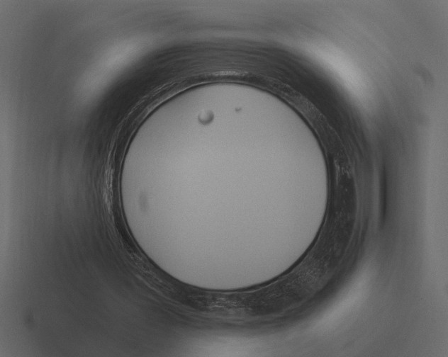 X0000116320387200912291537