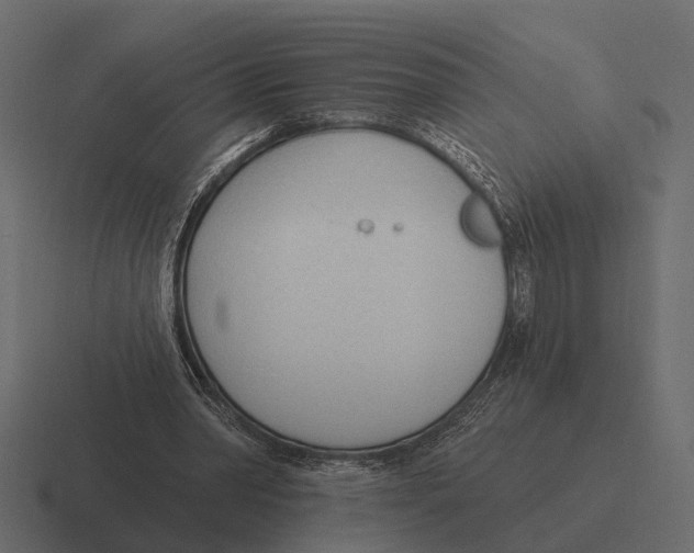 X0000116320390200912291537