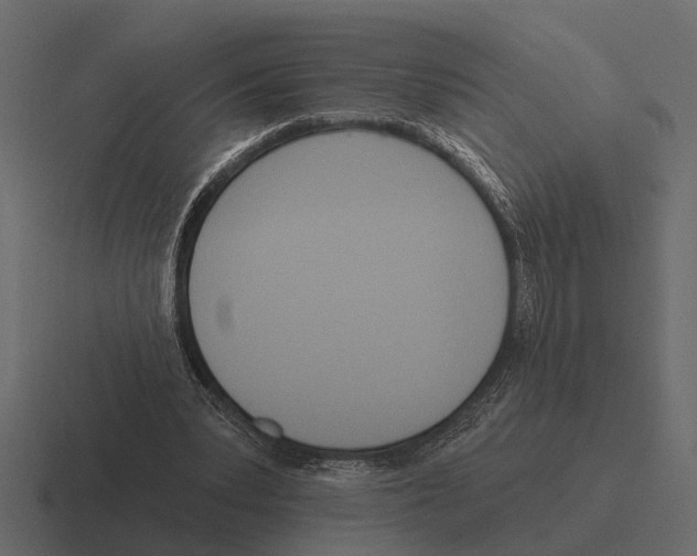 X0000116320391200912291537