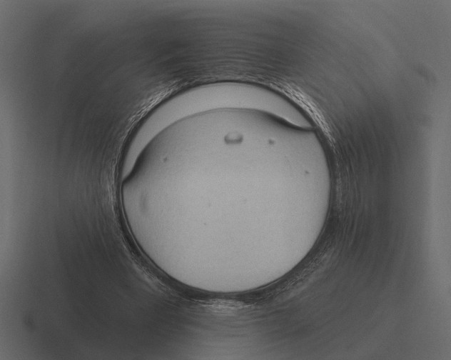 X0000116320393200912291537