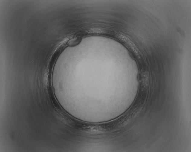 X0000116320395200912291537