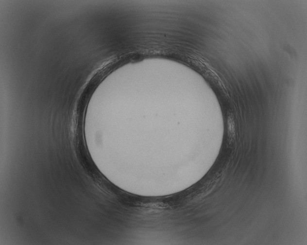 X0000116320396200912291537