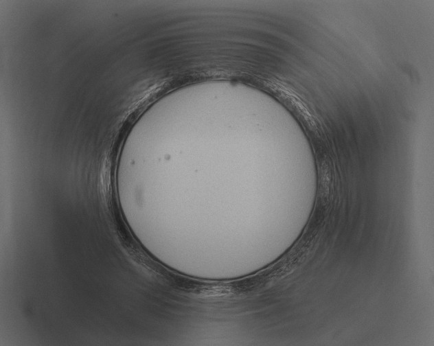 X0000116320398200912291537