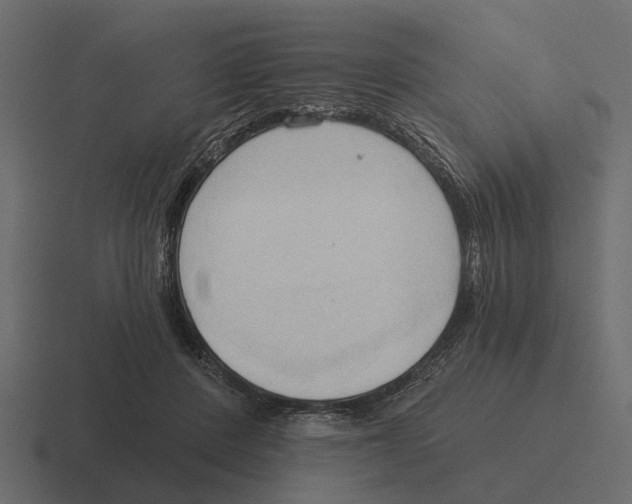 X0000116320408200912291537