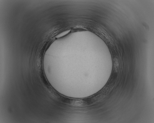 X0000116320410200912291537