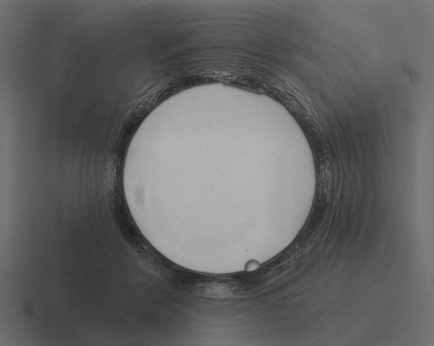 X0000116320412200912291537