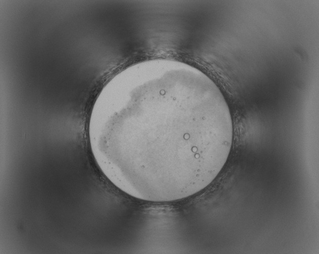 X0000116320415200912291537