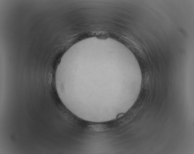 X0000116320417200912291537