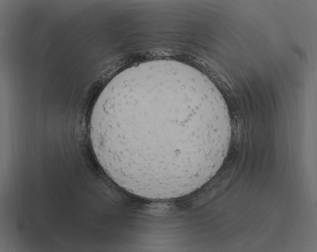 X0000116320418200912291537