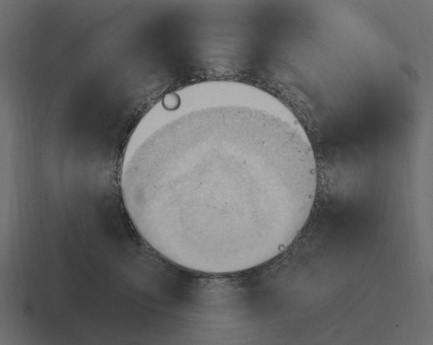 X0000116320419200912291537