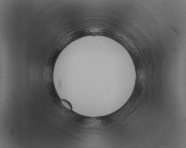 X0000116320421200912291537