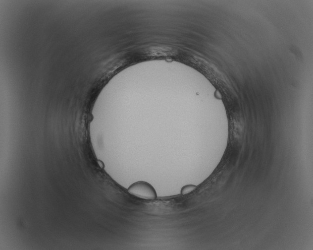 X0000116320422200912291537