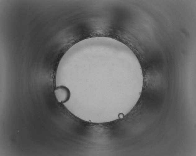 X0000116320423200912291537