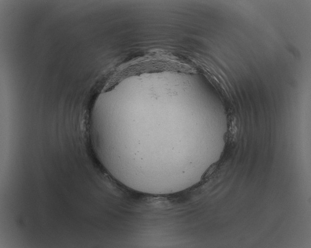 X0000116320424200912291537