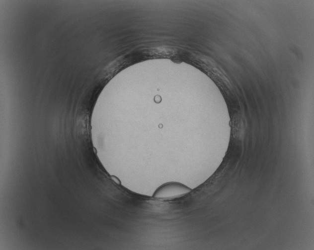 X0000116320425200912291537