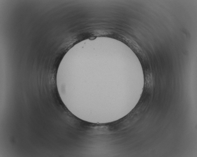 X0000116320426200912291537