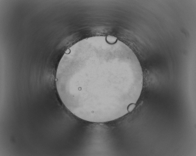 X0000116320427200912291537