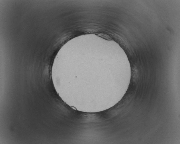 X0000116320428200912291537