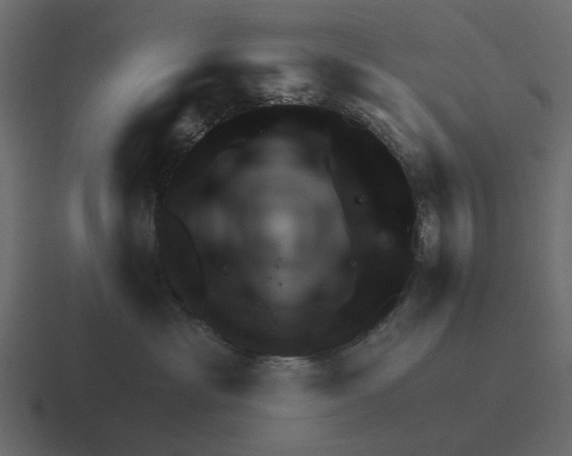 X0000116320429200912291537