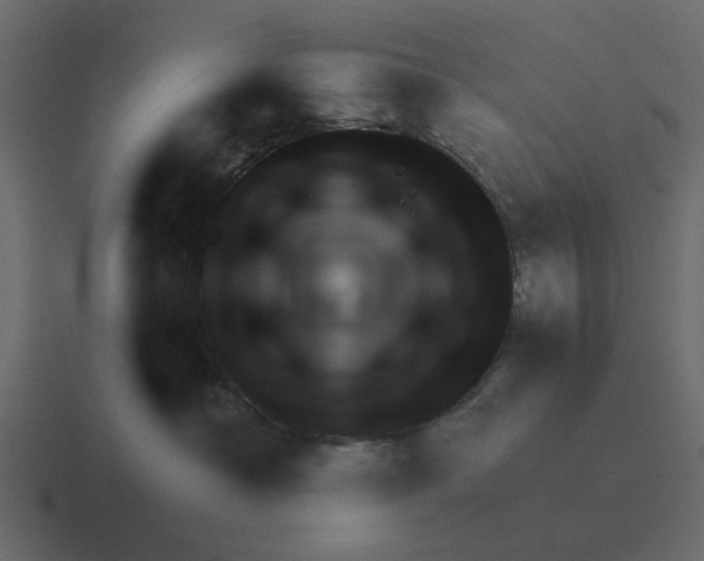 X0000116320430200912291537