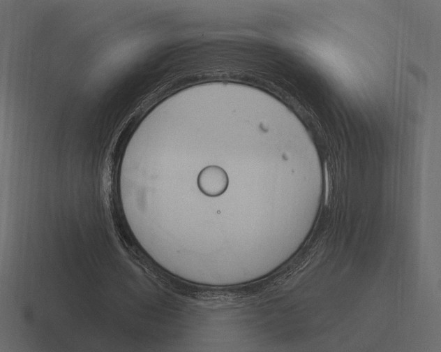 X0000116320435200912291536