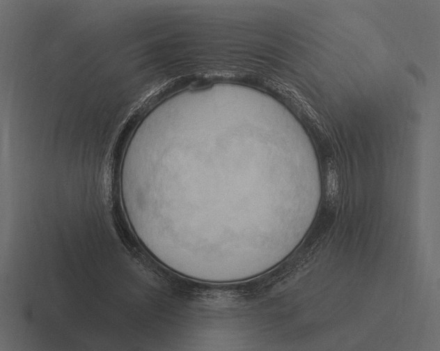 X0000116320444200912291536